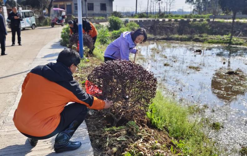 市红十字会开展义务植树活动 为新春添新绿