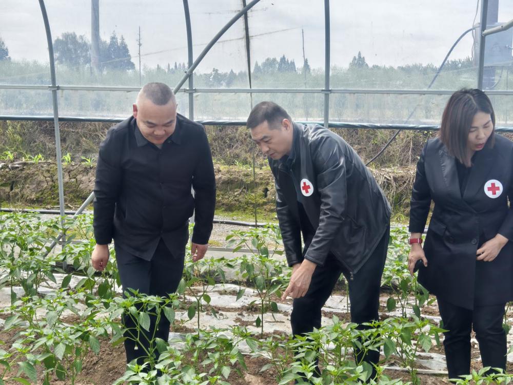 省红十字会秘书长严国斌来常调研指导2026年博爱家园项目